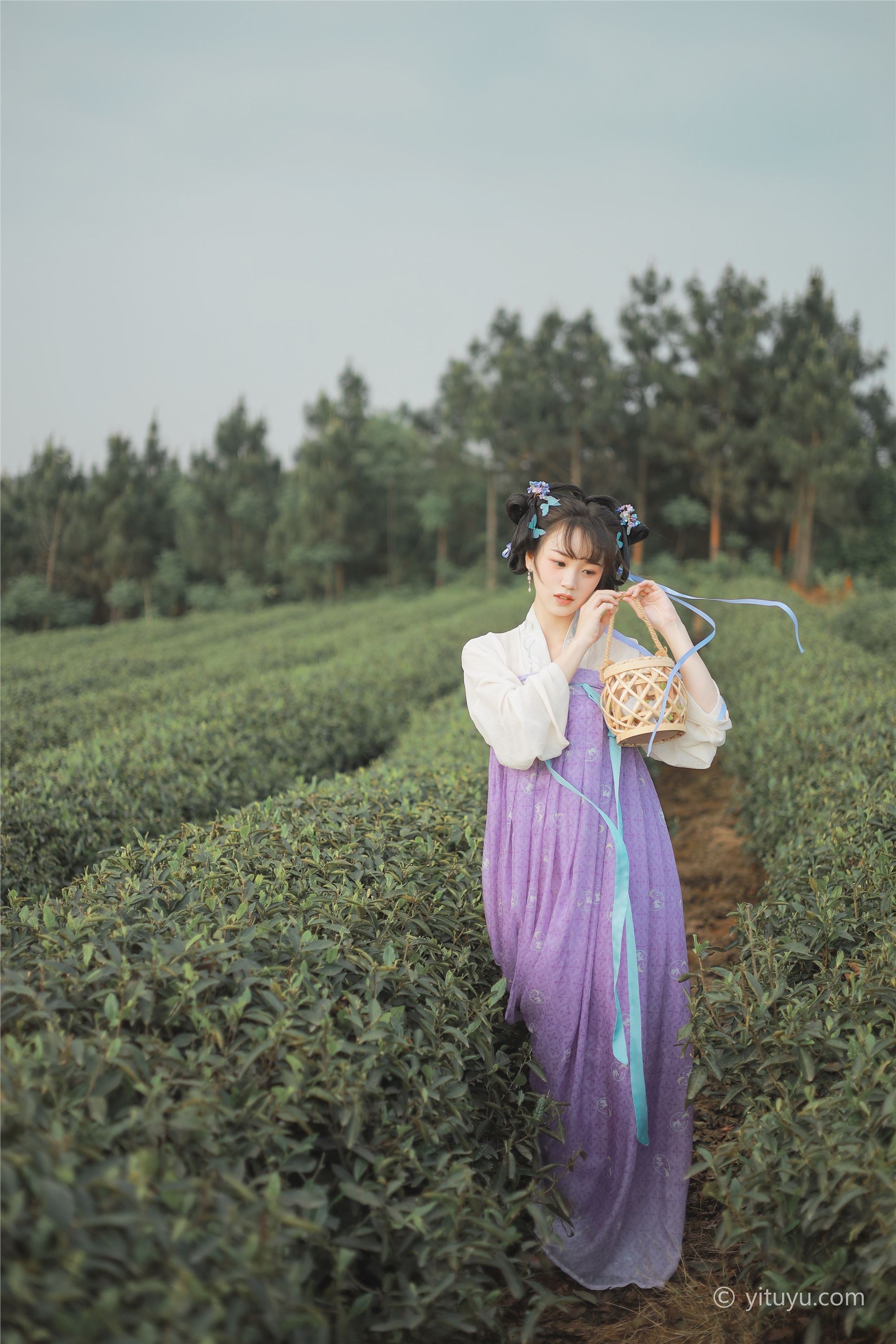 YITUYU艺图语  2021.06.02 青青白茶 柚子